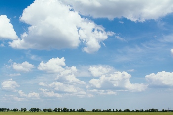 Idaho Grass and Sky